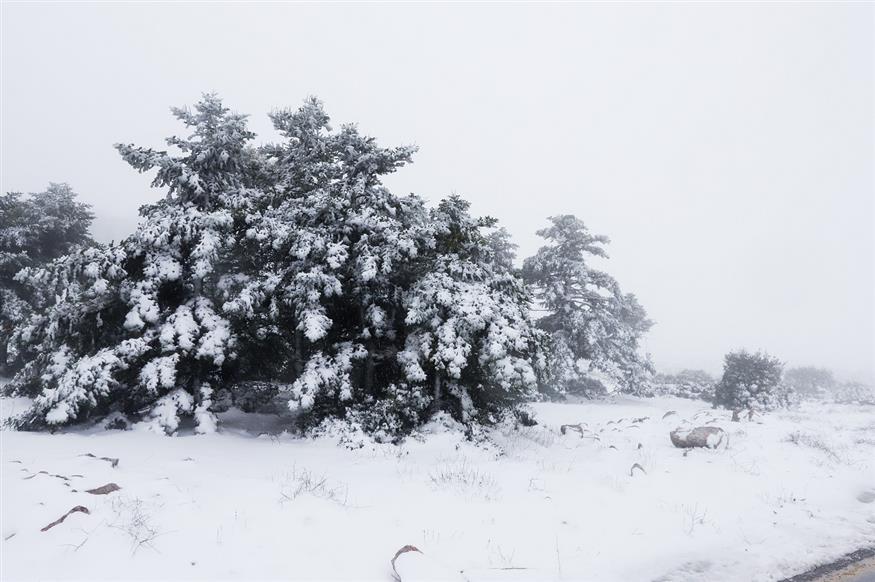 Κύριο χαρακτηριστικό του «Ραφαήλ», η μεγάλη ποσότητα χιονιού. Μέχρι και στην Πάρνηθα (EUROKINISSI/ΓΙΩΡΓΟΣ ΚΟΝΤΑΡΙΝΗΣ)