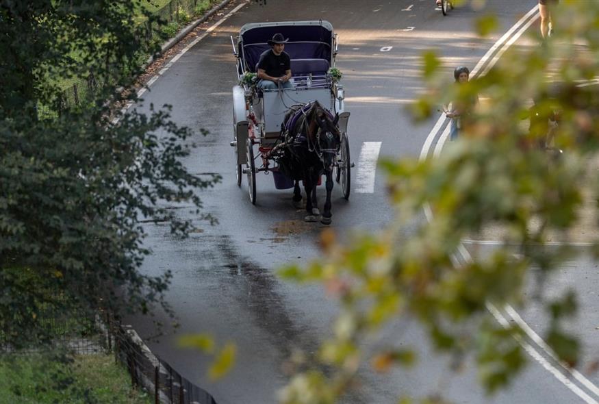 Άμαξα με άλογο στη Νέα Υόρκη(AP Photo/Yuki Iwamura)