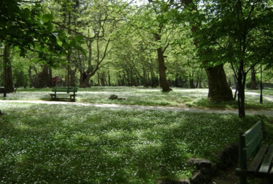 Άλσος Αγίου Νικολάου