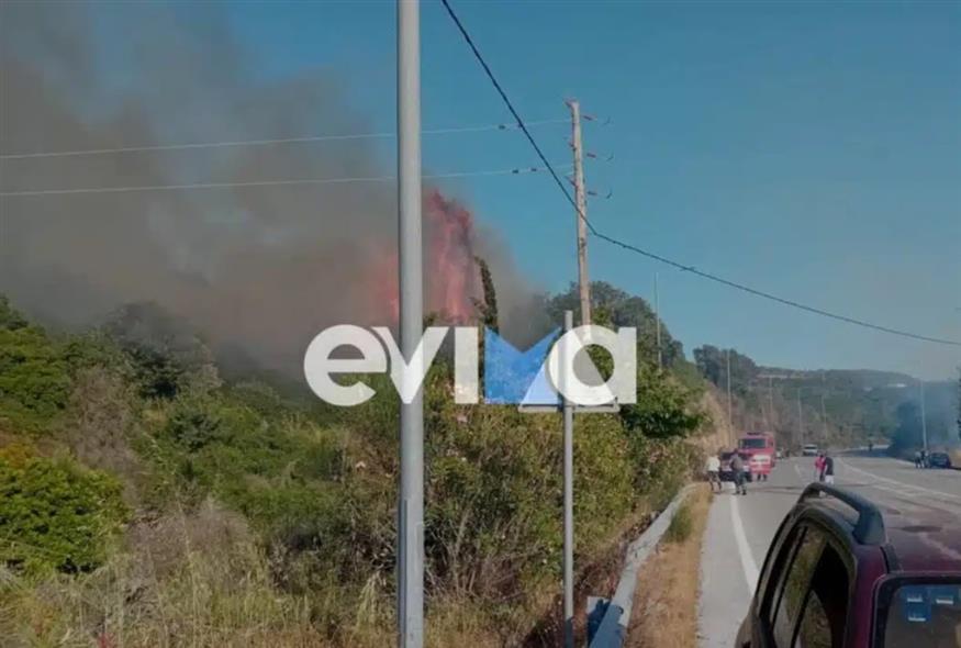 Το μέτωπο της πυρκαγιάς στην Εύβοια