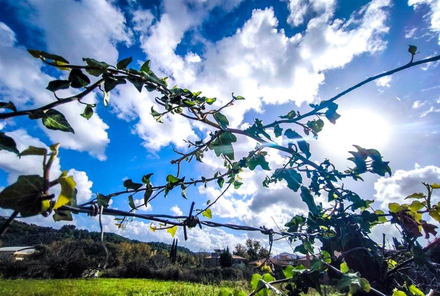 (ΓΙΩΡΓΟΣ ΚΟΝΤΑΡΙΝΗΣ/EUROKINISSI)