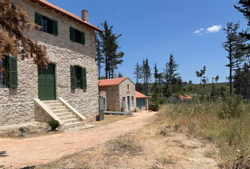 Κτήμα Τατόι (ΓΡΑΦΕΙΟ ΤΥΠΟΥ ΥΠΟΥΡΓΕΙΟΥ ΠΟΛΙΤΙΣΜΟΥ/EUROKINISSI)