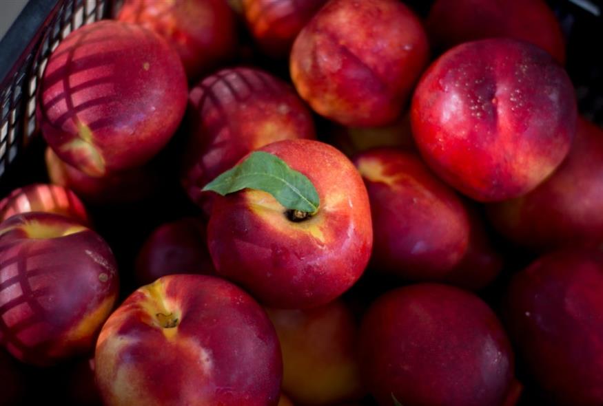 νεκταρίνια/eurokinissi