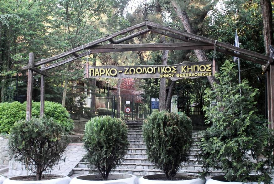 Ζωολογικός Κήπος Θεσσαλονίκης (INTIME NEWS/ΜΩΥΣΙΑΔΗΣ ΓΙΑΝΝΗΣ)