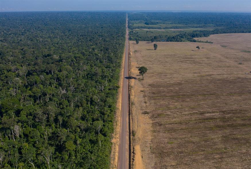Το δάσος του Αμαζονίου / AP Photo/Leo Correa
