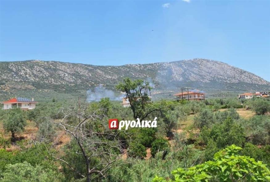 Φωτιά στην Αργολίδα (argolika.gr)