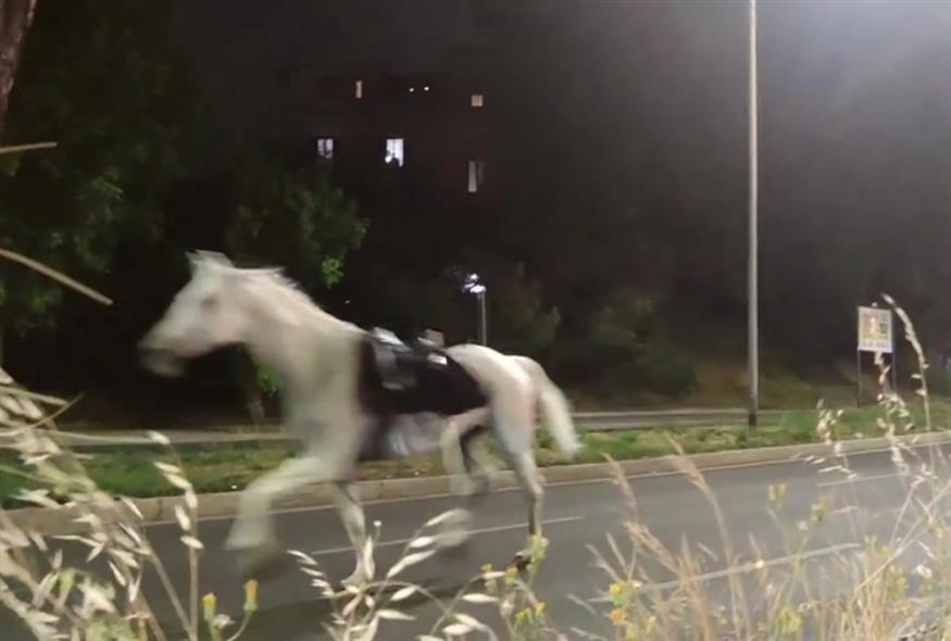 (Screenshot from X)