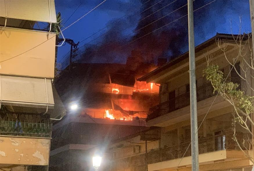 Στιγμιότυπο από την πυρκαγιά (alexandriamou.gr)