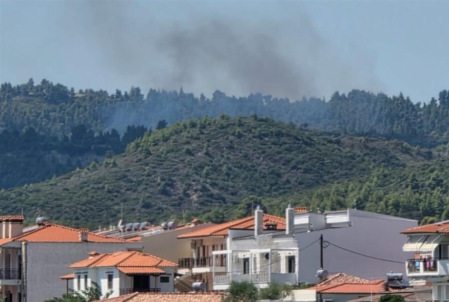 Φωτιά σε δασική έκταση στην Κασσάνδρα Χαλκιδικής (Forecast Weather Greece)