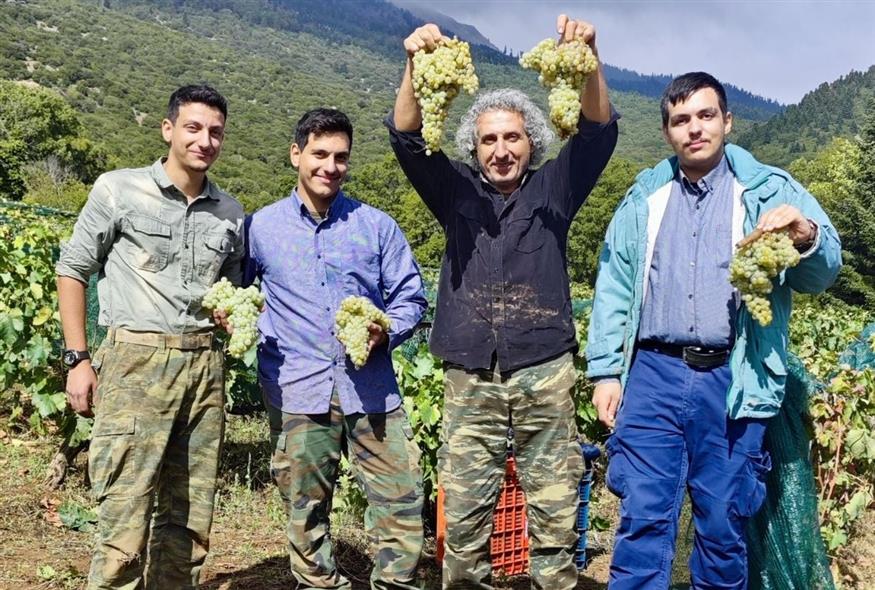 Το οινοποιείο Dorian Wines επιμένει στον παλιό τρόπο δουλειάς