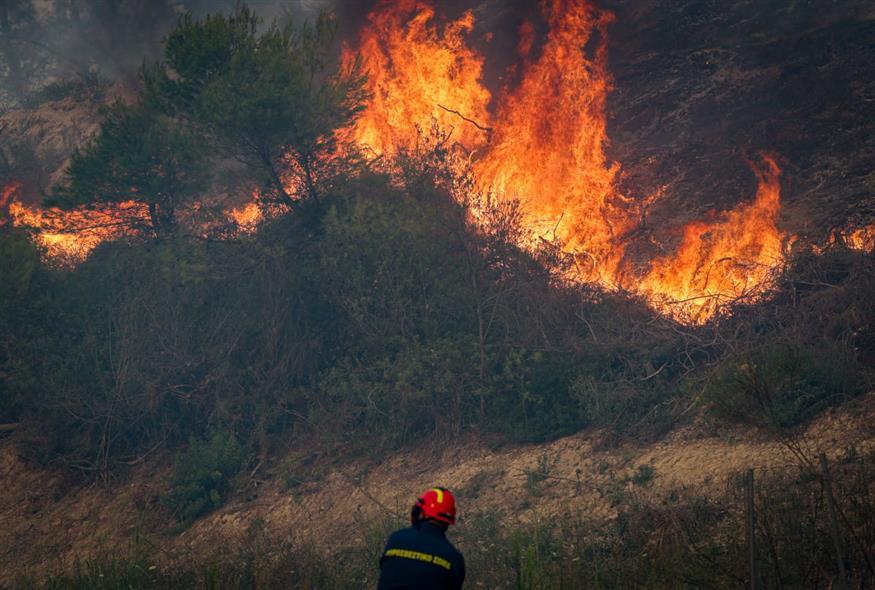 Φωτογραφία αρχείου (ΒΑΣΙΛΗΣ ΒΕΡΒΕΡΙΔΗΣ / ΜΟΤΙΟΝΤΕΑΜ)