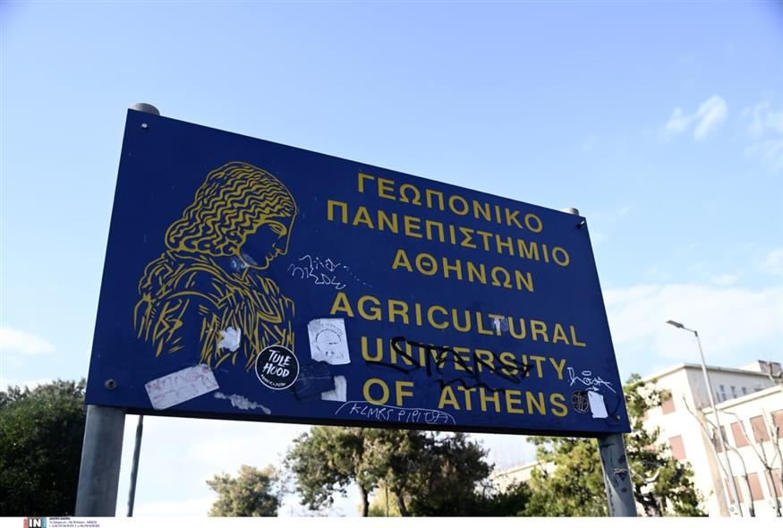 (ΒΛΑΣΣΟΠΟΥΛΟΥ ΙΣΜΗΝΗ/INTIME)