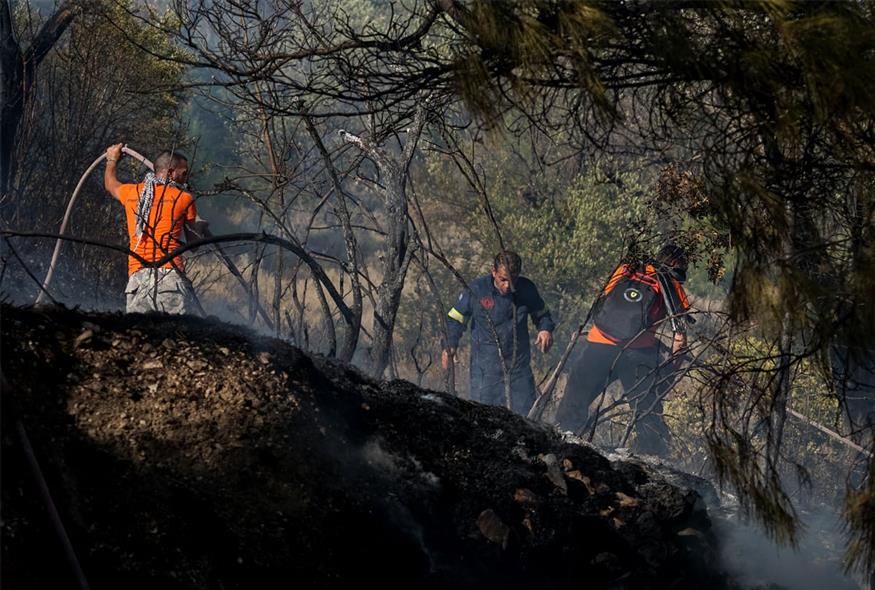 Φωτιά στη Βρίσα / Eurokinissi