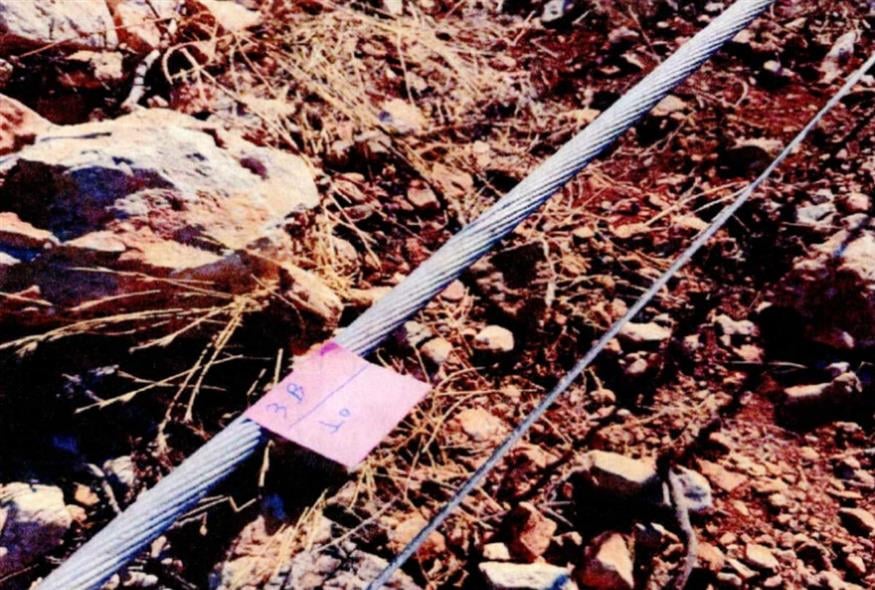 Πυρκαγιά στην Βοιωτία - Οι φωτογραφίες που δημοσίευσε η ΕΡΤ
