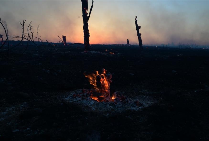 ΠΥΡΚΑΓΙΑ ΣΤΟΝ ΑΓΙΟ ΣΤΕΦΑΝΟ ΣΤΗ ΠΕΡΙΟΧΗ ΔΡΟΣΟΠΗΓΗ ΣΤΙΣ ΑΦΙΔΝΕΣ (ΤΑΤΙΑΝΑ ΜΠΟΛΑΡΗ/EUROKINISSI)