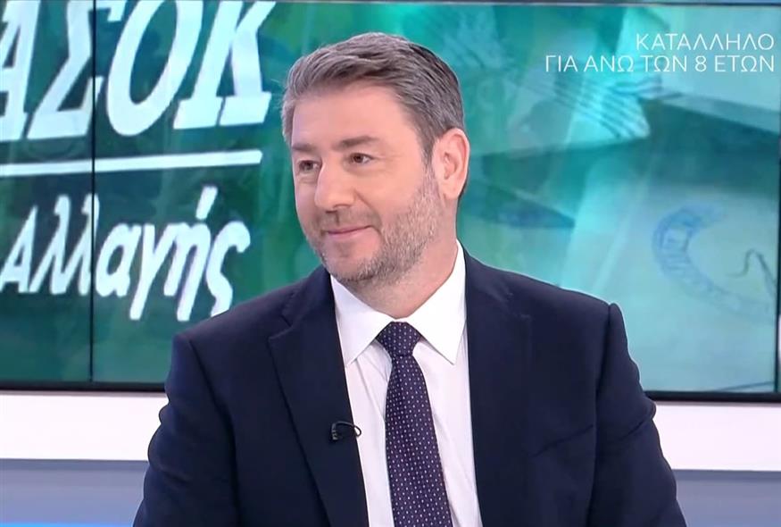 Ο Νίκος Ανδρουλάκης στο OPEN / video capture