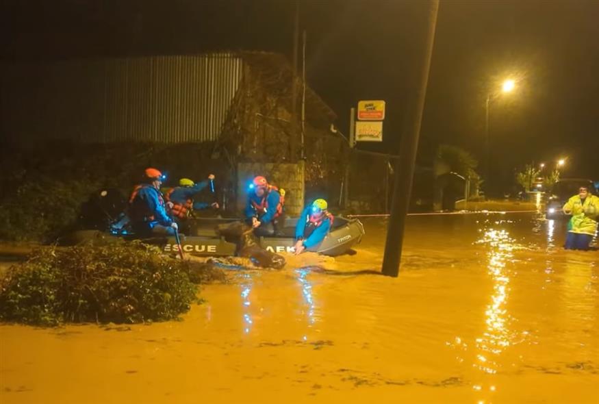 Διάσωση αλόγου (Screenshot)