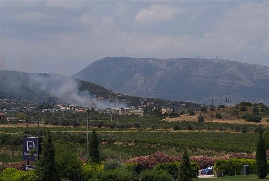 (Stavros Manolis)