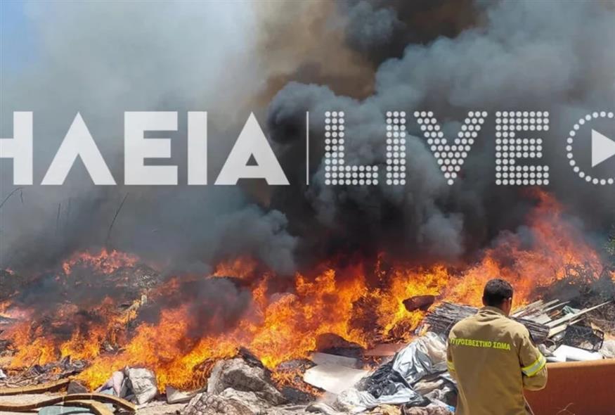 Φωτιά στην Ηλεία/ilialive