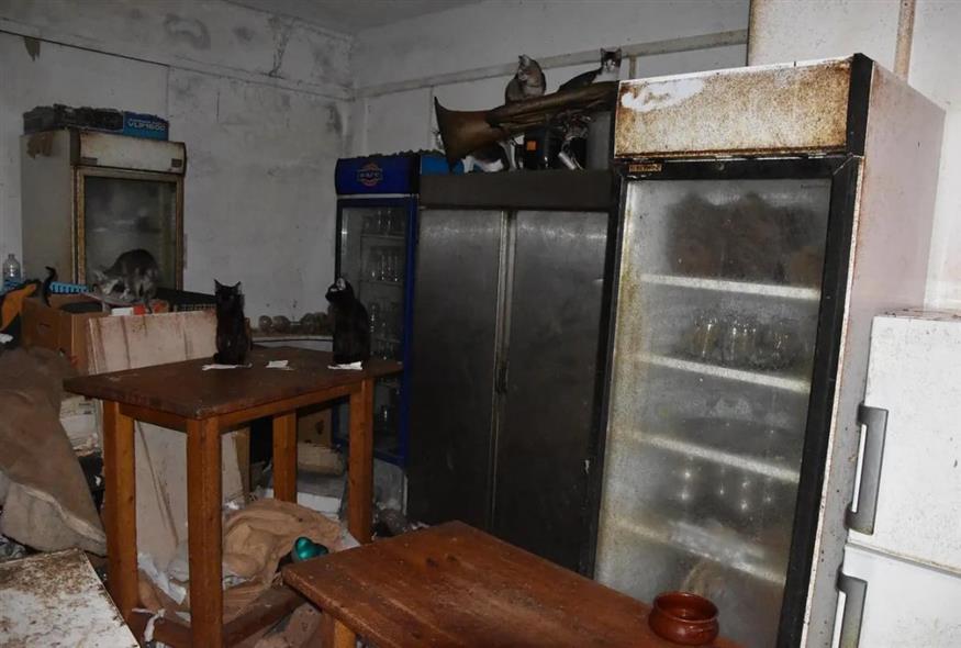 Εγκλεισμός γατών (ΕΛΑΣ)