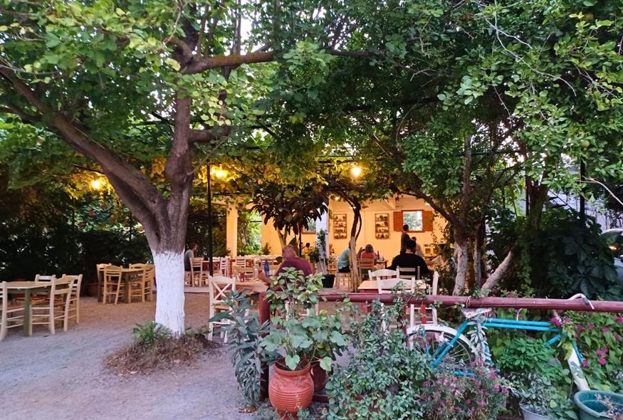 Η ταβέρνα της κυρά Μαρίας σερβίρει καλομαγειρεμένη παραδοσιακή κουζίνα | © Χριστίνα Τσαμουρά