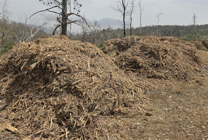Ακαθάριστα οικόπεδα/ΙΝΤΙΜΕ