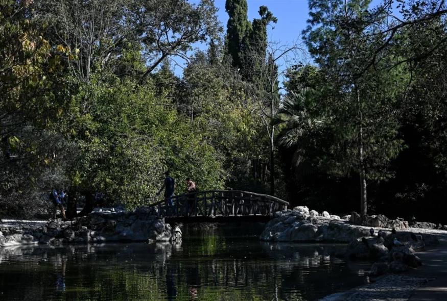 Εθνικός Κήπος