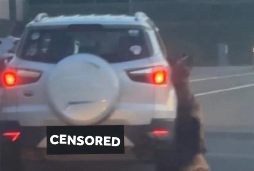 Βέλγιο: Οδηγός έσυρε τον σκύλο του μέχρι θανάτου