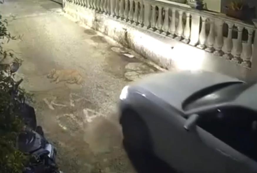Φρίκη στην Κέρκυρα