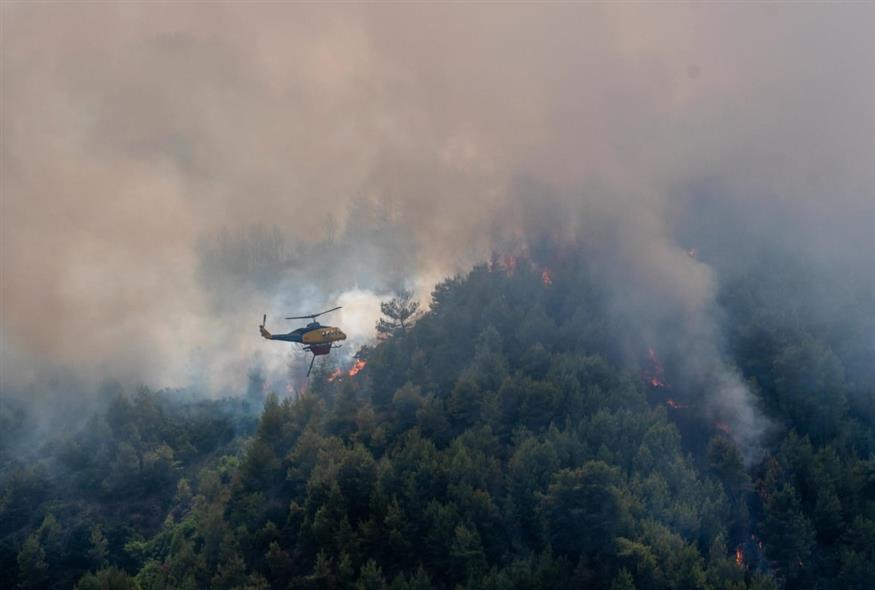 Φωτιά στο Γεράκι Αμαλιάδας (EUROKINISSI/ILIALIVE.GR ΓΙΑΝΝΗΣ ΣΠΙΡΟΥΝΗΣ)