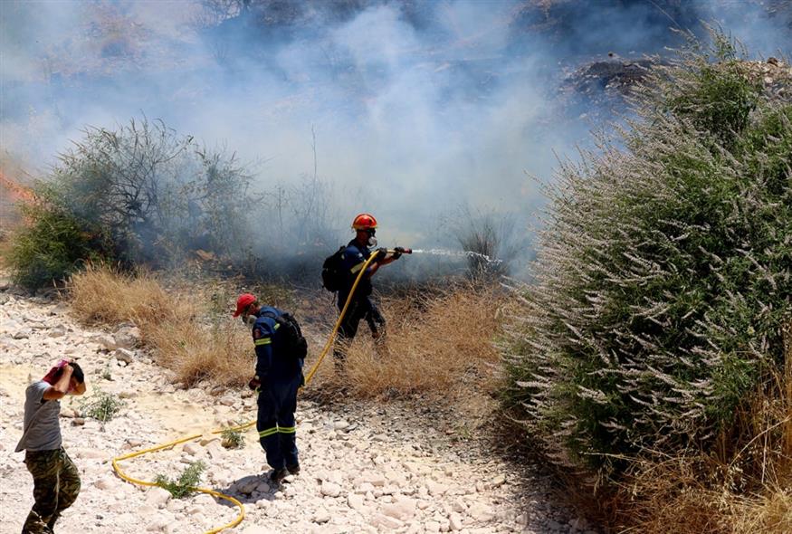 Φωτιά στη Χίο (Chiosphotos.gr / ΑΝΑΓΝΩΣΤΟΥ ΚΩΝΣΤΑΝΤΙΝΟΣ/INTIME.GR)