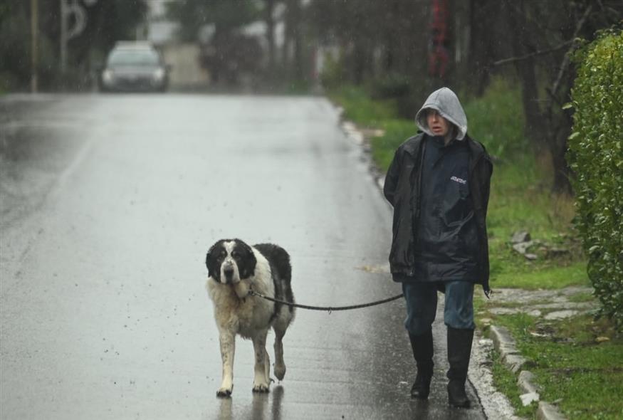 ΕΝΤΟΝΗ ΒΡΟΧΟΠΤΩΣΗ ΣΤΟ ΔΙΟΝΥΣΟ (ΜΙΧΑΛΗΣ ΚΑΡΑΓΙΑΝΝΗΣ/EUROKINISSI)
