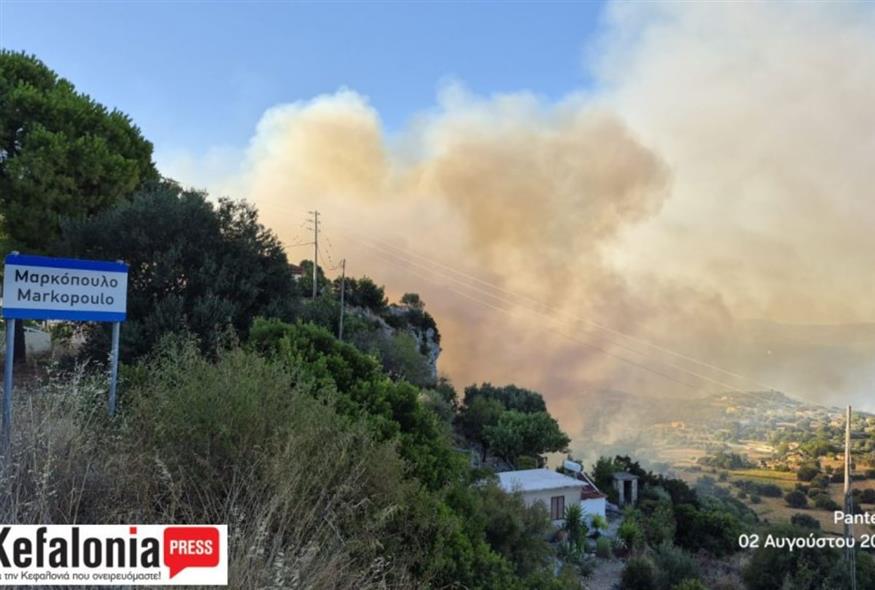 (Παντελής Ιωαννίδης)