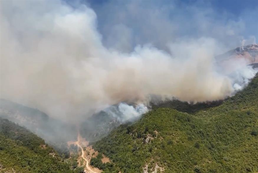 Φωτιά στην Αλβανία (Copyright:X)