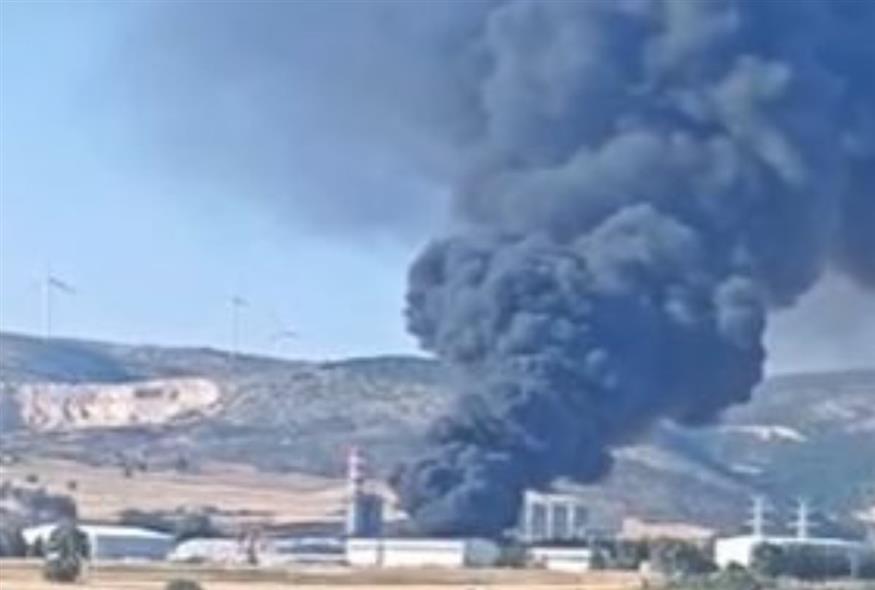 Φωτιά (e-evros.gr)