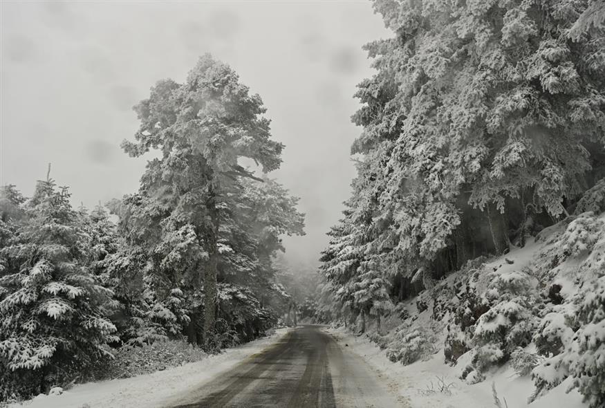 Χιόνι - Χιονόπτωση (EUROKINISSI)