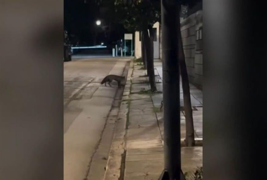 Πηγή φωτογραφίας: screenshot/Glomex