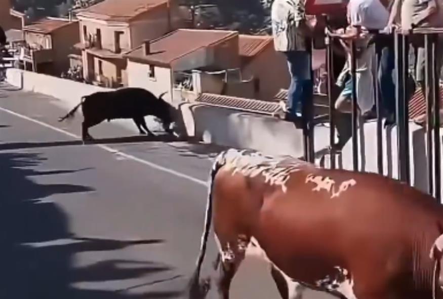 Επίθεση ταύρου/X