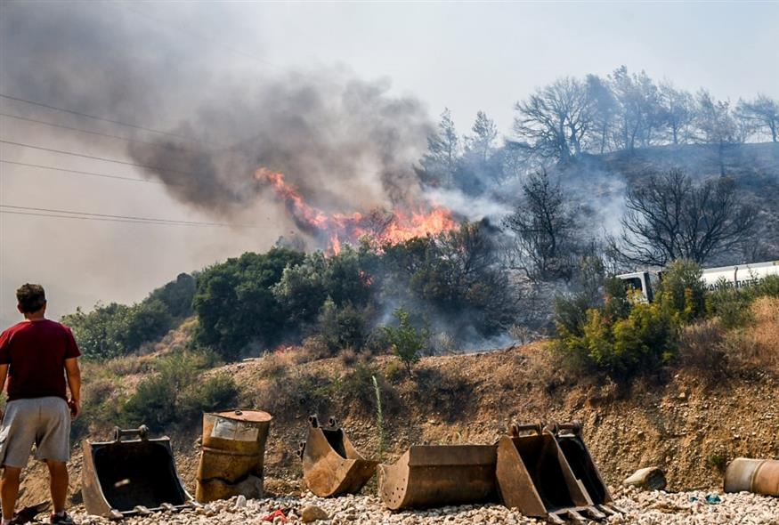 (Φωτογραφία αρχείου: EUROKINISSI)