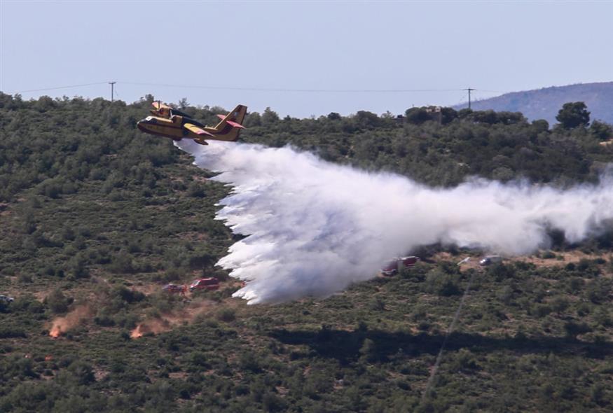 Φωτογραφία αρχείου (ΔΑΝΑΗ ΔΑΥΛΟΠΟΥΛΟΥ/EUROKINISSI)