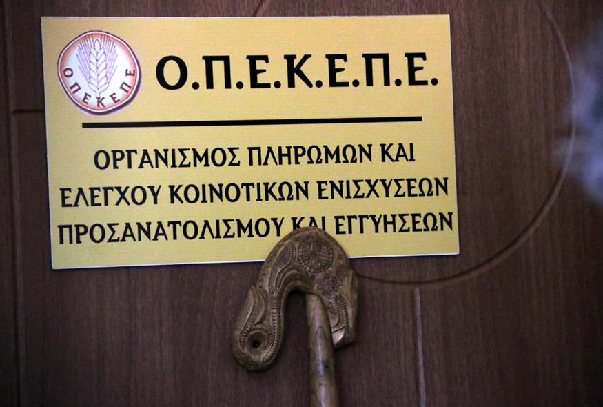 (EUROKINISSI/ΒΑΣΙΛΗΣ ΠΑΠΑΔΟΠΟΥΛΟΣ)
