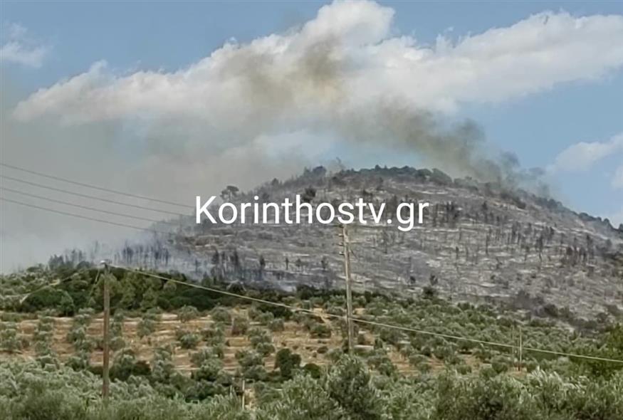 Φωτιά (korinthostv.gr)