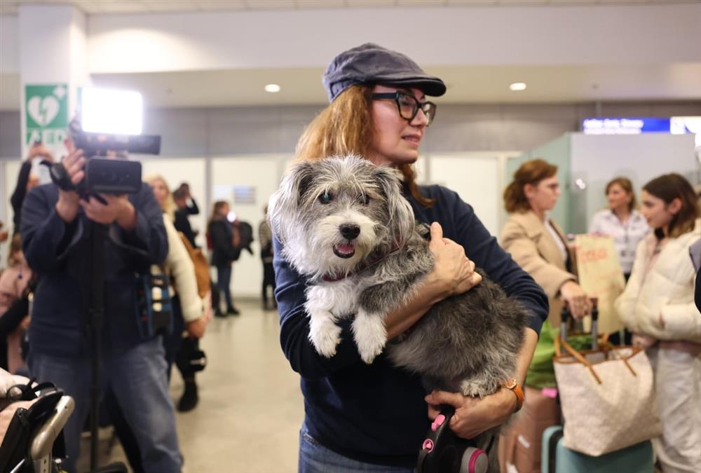 «Καταφέραμε το ακατόρθωτο»: Συγκινητικές στιγμές στο «Ελευθέριος Βενιζέλος» με τον επαναπατρισμό δεκάδων ζώων