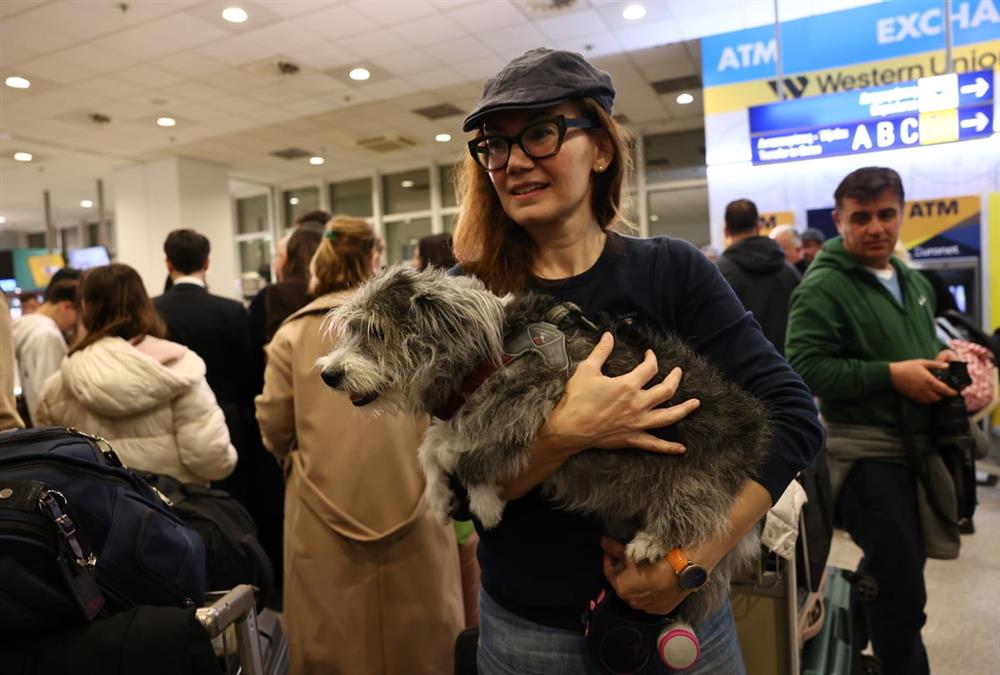 «Καταφέραμε το ακατόρθωτο»: Συγκινητικές στιγμές στο «Ελευθέριος Βενιζέλος» με τον επαναπατρισμό δεκάδων ζώων