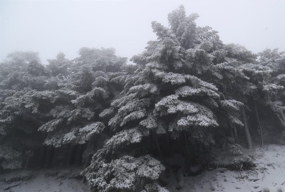 Λευκή η πρώτη μέρα της άνοιξης στην Πάρνηθα