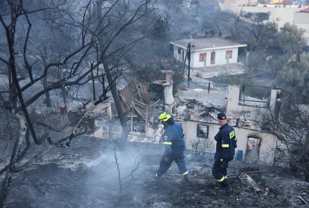 Στάχτη και γκρεμισμένοι κόποι στη Σαλαμίνα: Οι εικόνες μετά το φονικό πέρασμα της φωτιάς