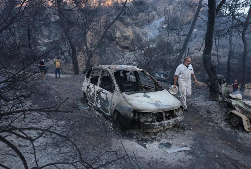 Στάχτη και γκρεμισμένοι κόποι στη Σαλαμίνα: Οι εικόνες μετά το φονικό πέρασμα της φωτιάς