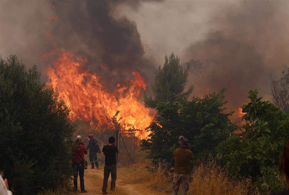 Δεύτερη μέρα μάχης με τις φλόγες στη Δυτική Αττική: Αποκαρδιωτικές εικόνες