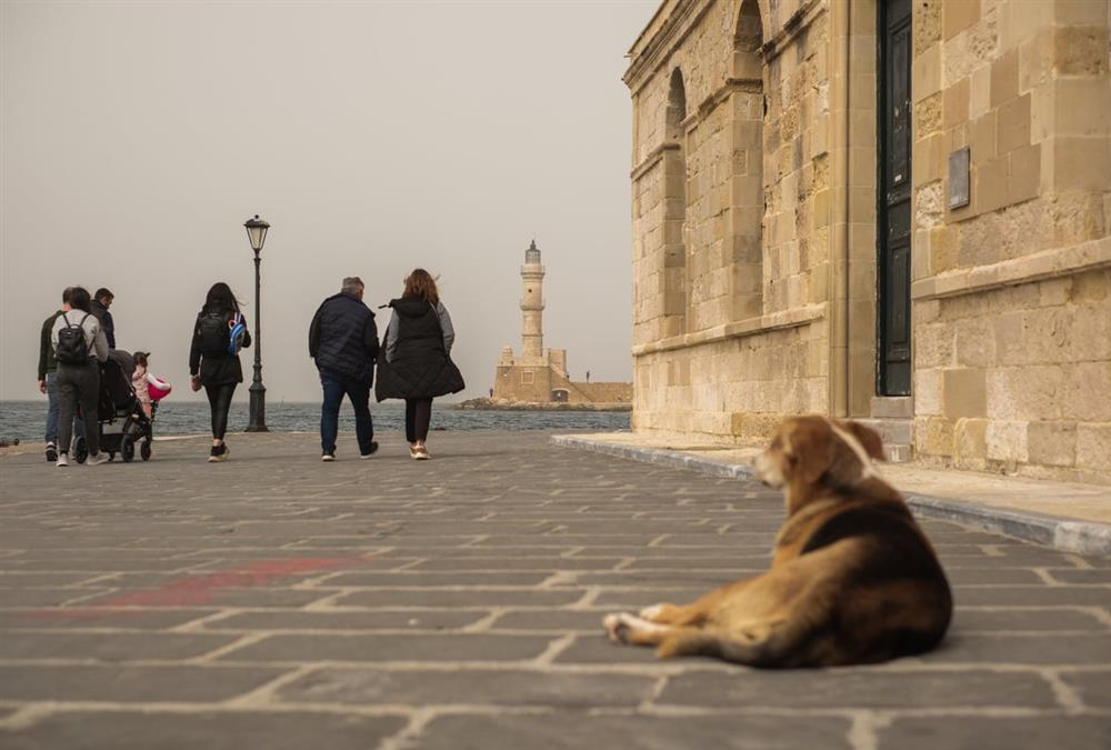 Η αφρικανική σκόνη «έπνιξε» τη χώρα - Εντυπωσιακές εικόνες από Αττική και Κρήτη
