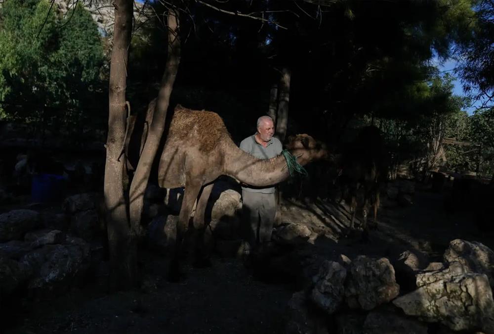 Όλες οι ζωές μετράνε: Ο άνθρωπος που σώζει τα ξεχασμένα ζώα του πολέμου στον νότιο Λίβανο